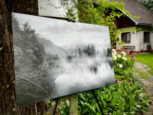 Outdoor-Installation einer großformatigen Fotografie des Fine-Art-Fotografen Tom Monochrom im Rahmen der Ausstellung "Brennende Wälder und die Schönheit der Natur" bei Eva Jansenberger (Kunst- und Philosophieverein Triebenstein), Trieben, August 2024, (c) Tom Monochrom